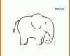 Spektakulär Elmar Elefant Vorlage 800x800