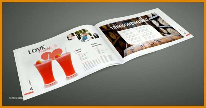Spezialisiert Indesign Inhaltsverzeichnis Vorlage Download 920x482