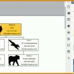 Größte organigramm Vorlage Kostenlos 1290x720