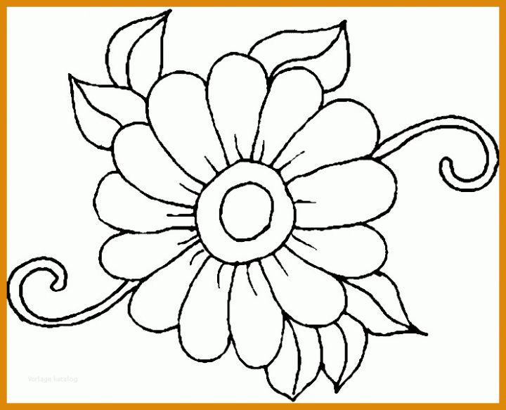 Angepasst Window Color Vorlagen Blumen 741x600