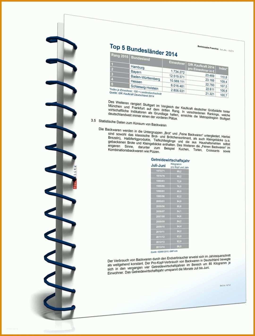 Moderne Businessplan Franchise Vorlage 1600x2100