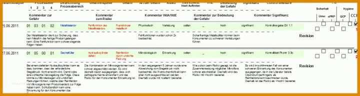Spezialisiert Haccp Entscheidungsbaum Vorlage 1298x347
