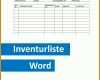 Limitierte Auflage Inventarliste Vorlage 1000x1000