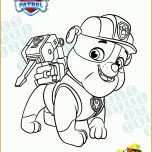 Exklusiv Paw Patrol Vorlage 2506x3532