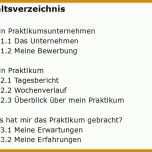Unvergesslich Tagesbericht Praktikum Kfz Mechatroniker Vorlage 750x560