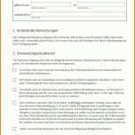 Exklusiv Vorlage Patientenverfügung Pdf 1654x2339