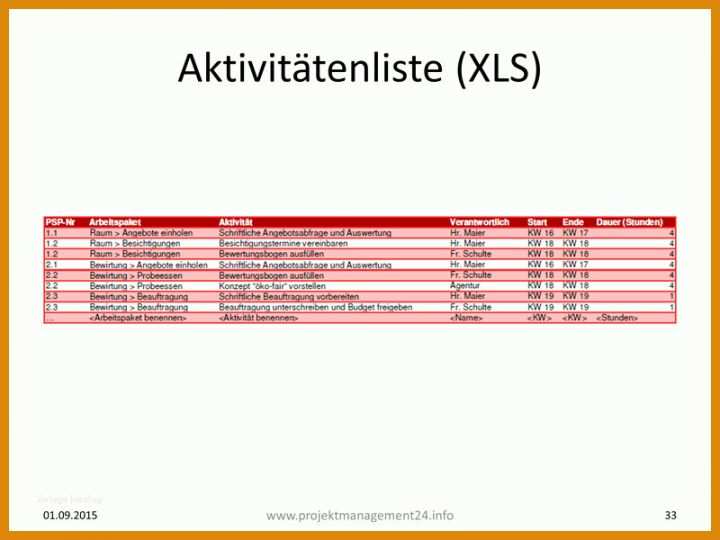 Einzahl Aktivitätenliste Projektmanagement Vorlage 800x600
