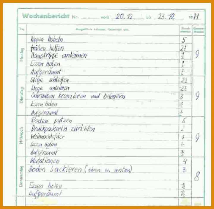 Ausgezeichnet Bau Tagesbericht Vorlage Excel 740x720