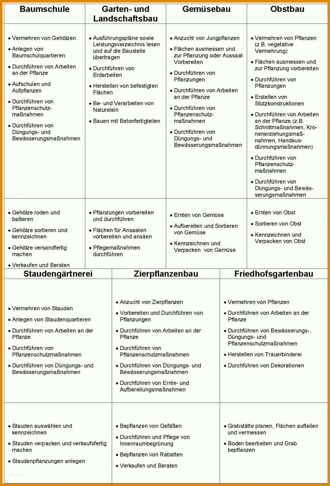 Atemberaubend Individueller Ausbildungsplan Erzieher Vorlage 1305x1922