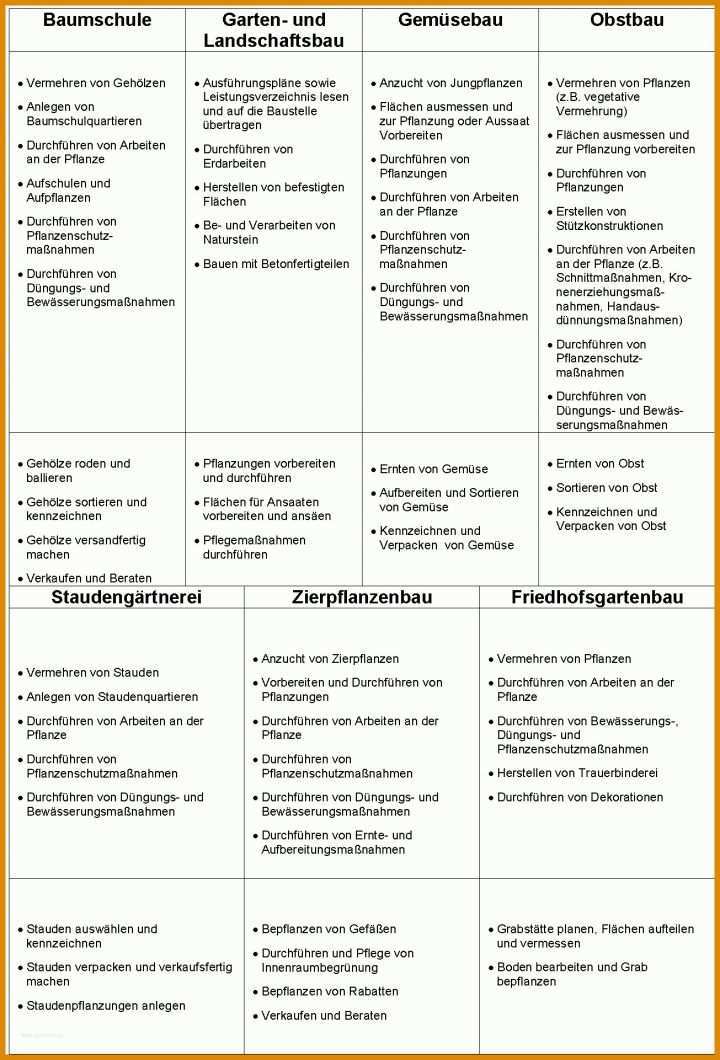 Limitierte Auflage Individueller Ausbildungsplan Erzieher Vorlage 1305x1922