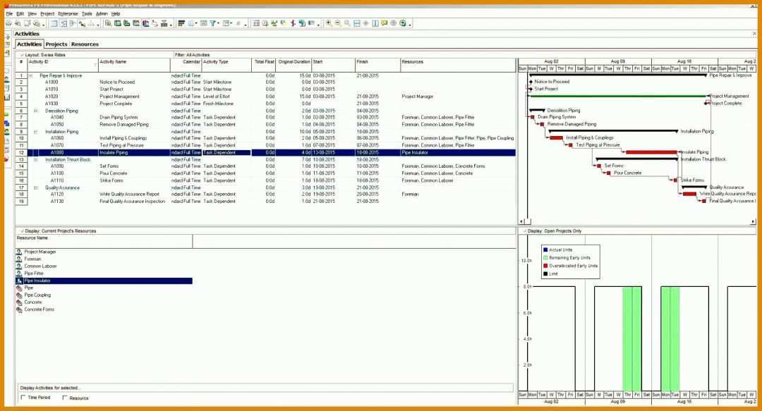 Ausgezeichnet Lessons Learned Vorlage Excel 1729x934