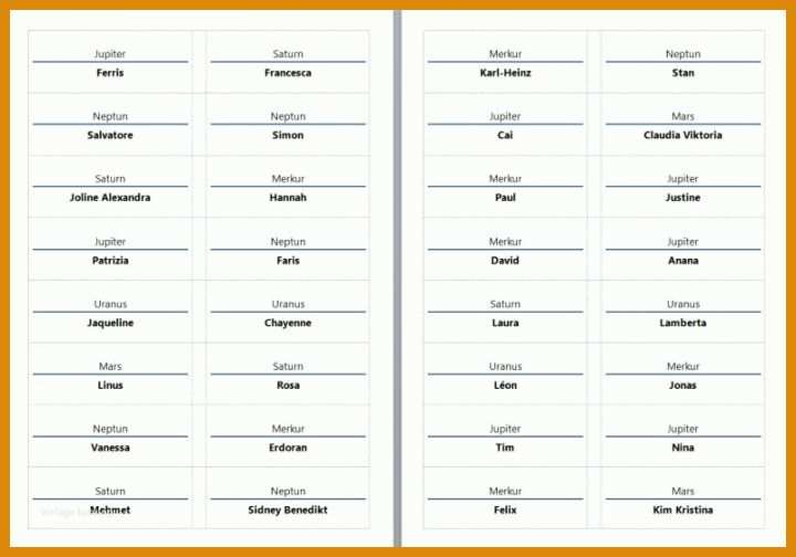 Schockieren Pflegeablaufplan Vorlage 800x560