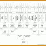 Unvergleichlich Stammbaum Erstellen Vorlage Kostenlos 800x579