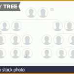 Einzahl Stammbaum Vorlage Kaufen 1300x821