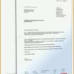Ungewöhnlich Strom Kündigen Vorlage Pdf 1600x2100