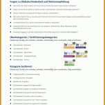 Beeindruckend Vorlage Kundenbefragung Word 960x1331
