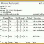 Kreativ Vorlage Medikationsplan 1600x680