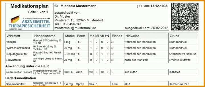 Perfekt Vorlage Medikationsplan 1600x680