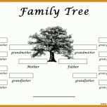 Neue Version Vorlage Stammbaum Erstellen 1024x553