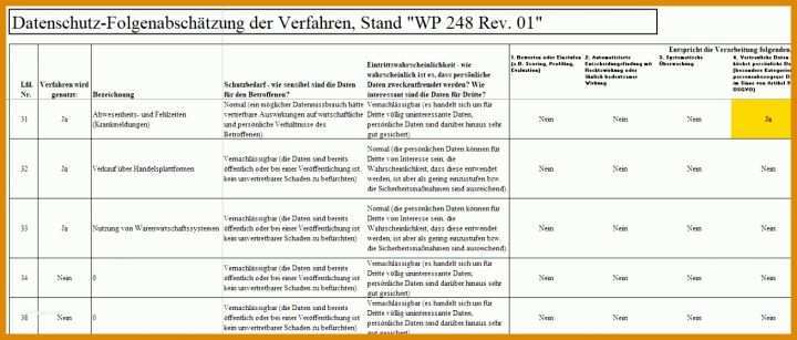 Singular Datenschutz Folgenabschätzung Vorlage 1309x558