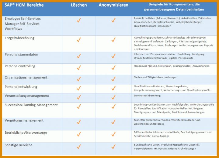 Wunderbar Datenschutzmanagementsystem Vorlage 1018x736