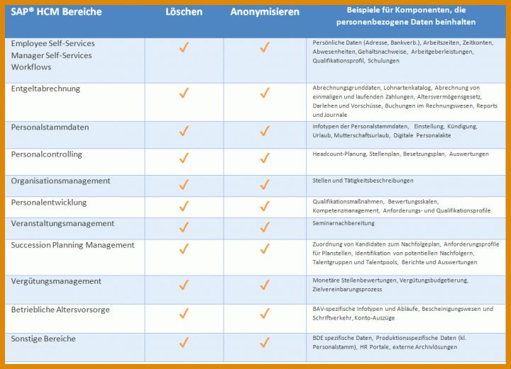 Wunderbar Datenschutzmanagementsystem Vorlage 1018x736