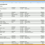 Singular Excel Vorlage Vertragsübersicht 1101x788