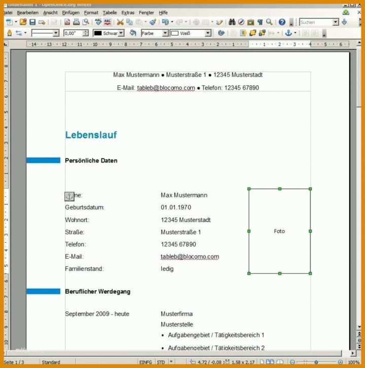 Einzahl Flyer Vorlagen Open Office 950x958