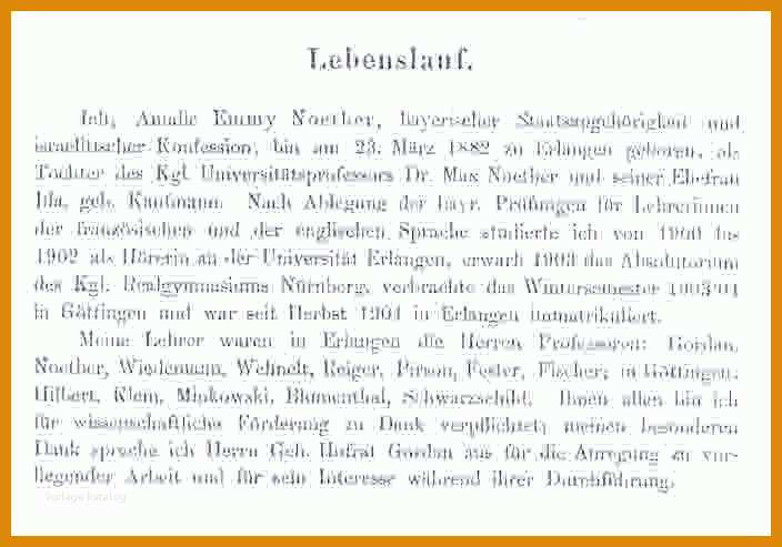 Phänomenal Handschriftlicher Lebenslauf Vorlage 704x493