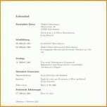 Angepasst Lebenslauf Englisch Vorlage 1178x1172