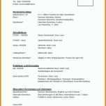 Schockieren Lebenslauf Vorlage Word Dokument 998x1409