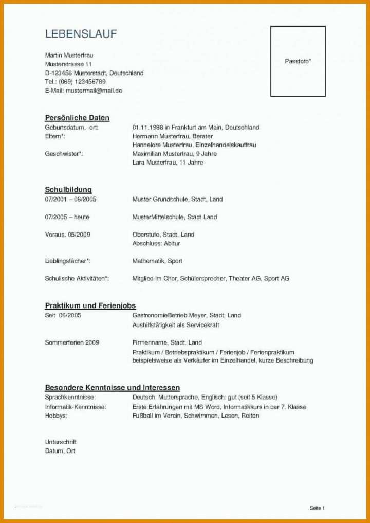 Schockieren Lebenslauf Vorlage Word Dokument 998x1409