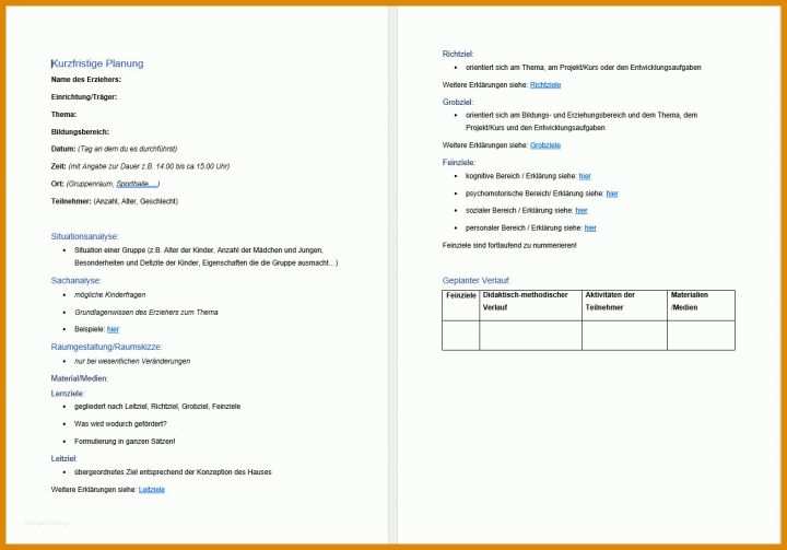 Neue Version Situationsanalyse Kindergarten Vorlage 1305x912