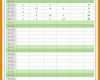 Kreativ Stundennachweis Vorlage Gratis Download 739x1062