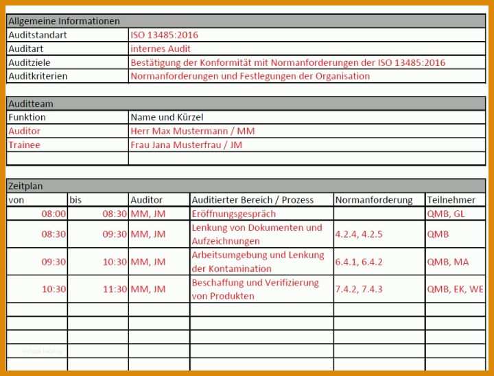 Limitierte Auflage Auditplan Vorlage Excel 900x686