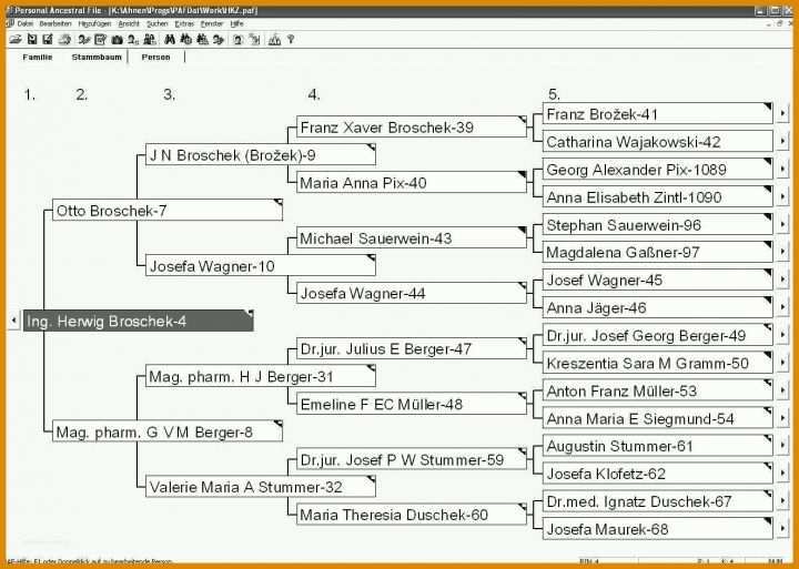 Unglaublich Stammbaum Vorlage Kaufen 1324x943