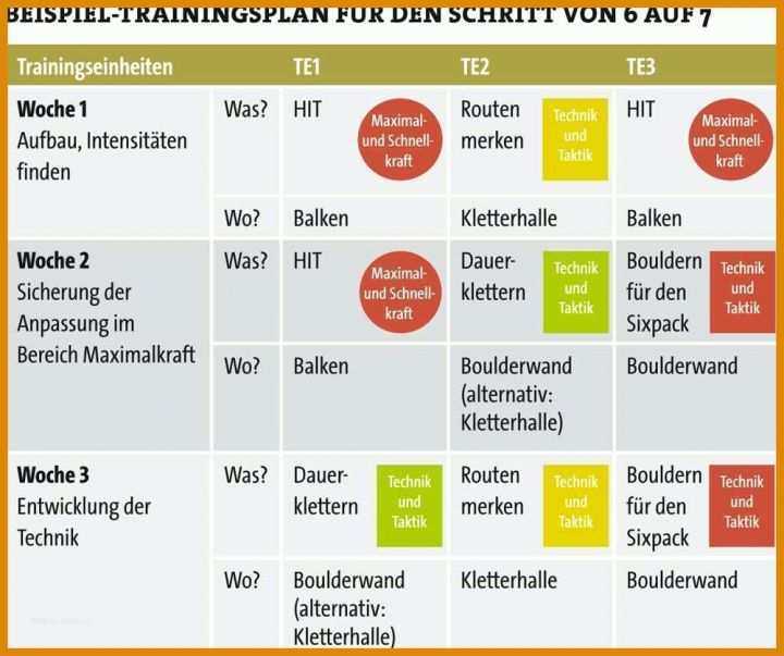 Auffällig Trainingsplan Pferd Vorlage 1000x837