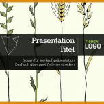 Limitierte Auflage Verkaufspräsentation Vorlage 796x450