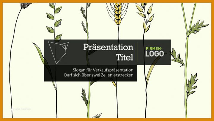 Moderne Verkaufspräsentation Vorlage 796x450