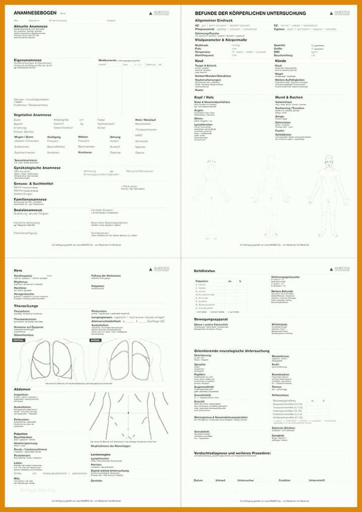 Toll Anamnesebogen Vorlage Word 744x1052