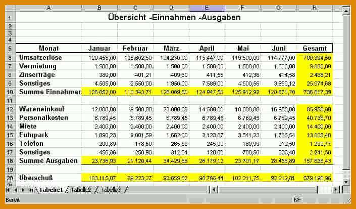 Wunderschönen Einnahmen Ausgaben Vorlage 705x413