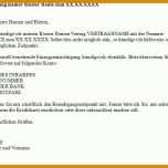 Exklusiv Kreditkarte Kündigen Volksbank Vorlage 1033x527