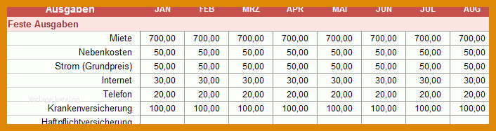 Erschwinglich Monatliche Ausgaben Excel Vorlage 706x187