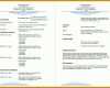 Sensationell Cv Vorlage Word 983x690