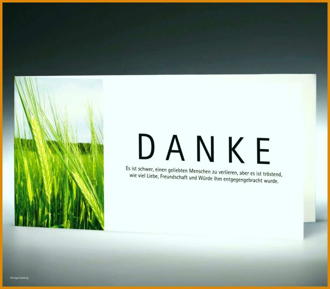 Atemberaubend Danksagung Trauer Vorlagen Download 1330x1165