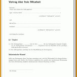 Unvergleichlich Firmenübernahme Vertrag Vorlage 793x1093