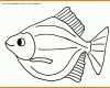 Ausgezeichnet Fisch Vorlage 1028x768