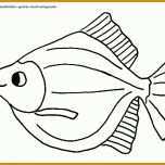 Ausgezeichnet Fisch Vorlage 1028x768