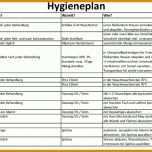 Limitierte Auflage Hygieneplan Vorlage Word 1040x677