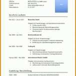 Exklusiv Lebenslauf Vorlage Word Dokument 926x1310